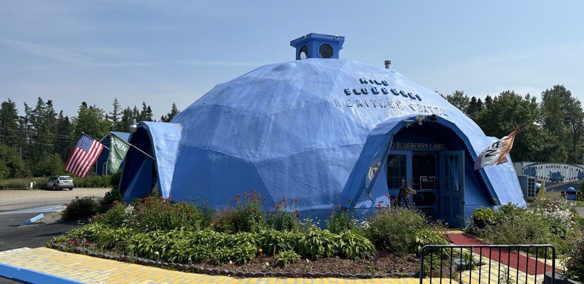 Blueberry Land - Maine vacation