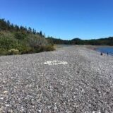 Hiking Trails in Maine